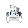 3 Handles 360 Angle Cryolipolysis Machines 升级台式360冷冻（白色机箱）