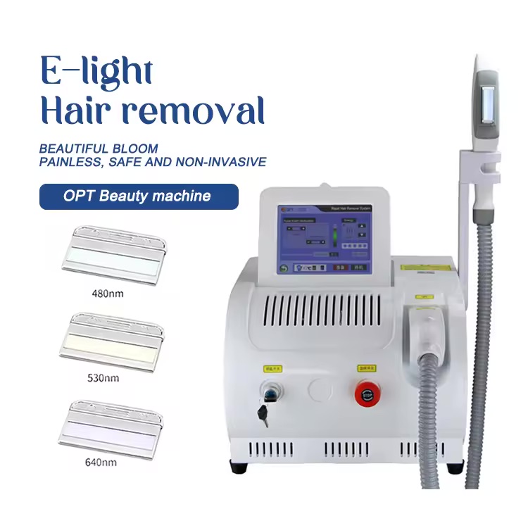 H405ce81a56c3419398e11f36650b8dcdC